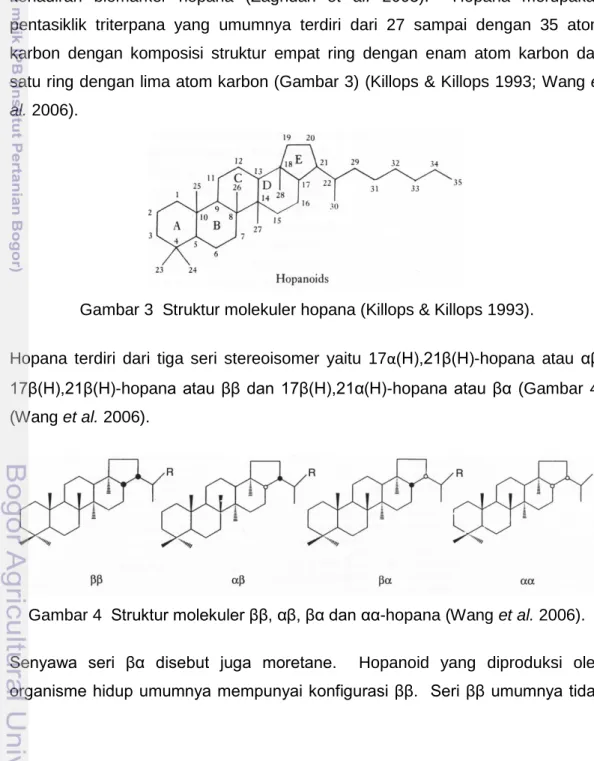 Gambar 3  Struktur molekuler hopana (Killops &amp; Killops 1993). 