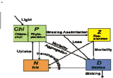 Gambar 1. Model Biogeokimia 