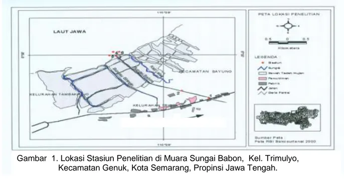 Gambar  1. Lokasi Stasiun Penelitian di Muara Sungai Babon,  Kel. Trimulyo,                     Kecamatan Genuk, Kota Semarang, Propinsi Jawa Tengah