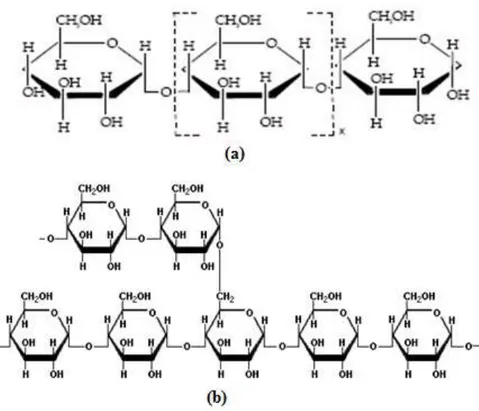 Gambar 2. Struktur (a) amilosa dan (b) amilopektin 