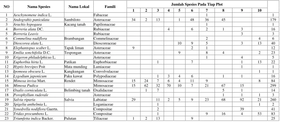 Tabel 18. Hasil seberan data vegetasi tumbuhan bawah tingkat herba pada ketinggian 100-200 mdpl