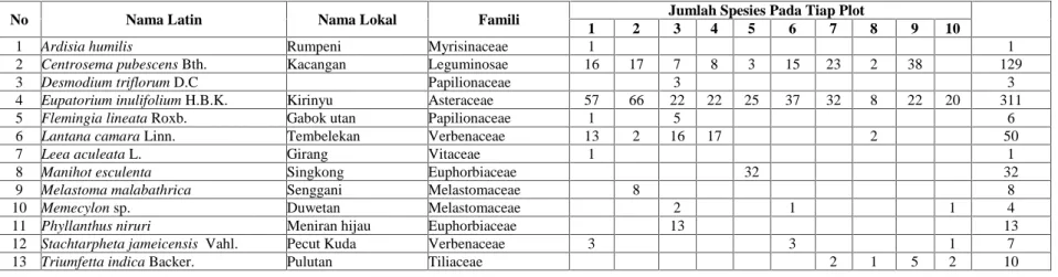 Tabel 22. Hasil sebaran data vegetasi tumbuhan bawah tingkat semak pada ketinggian 200-300 mdpl