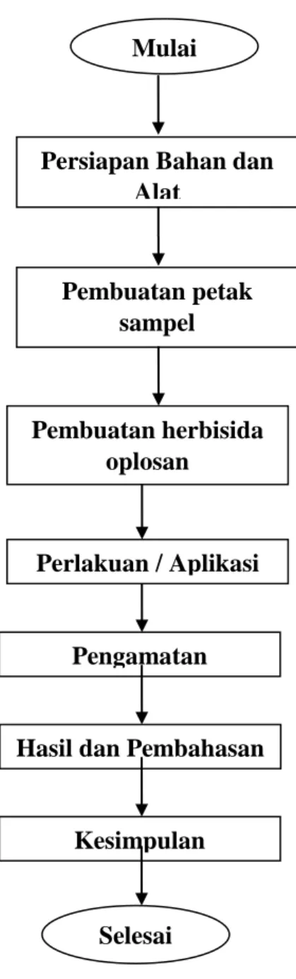 Gambar 3.2.Bagan Alur Penelitian Mulai 