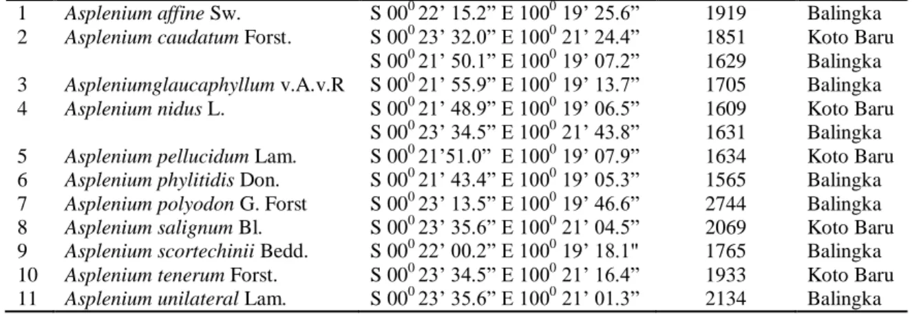 Tabel 1.Jenis-jenis Asplenium yang ditemukan di Gunung Singgalang. 