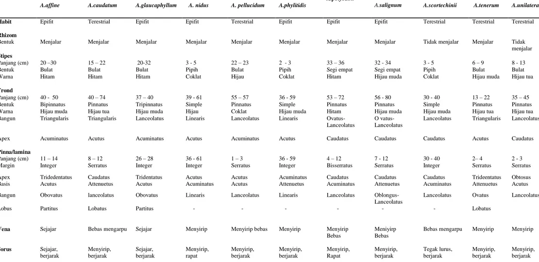 Tabel 2. Karakter morfologi jenis-jenis Asplenium di Gunung Singgalang Sumatera Barat 