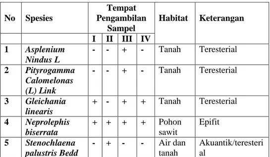 Tabel 4.8 Jenis-Jenis Tumbuhan Paku Di Kawasan Perkebunan Sawit Desa  Trinsing Kecamatan Teweh Selatan 