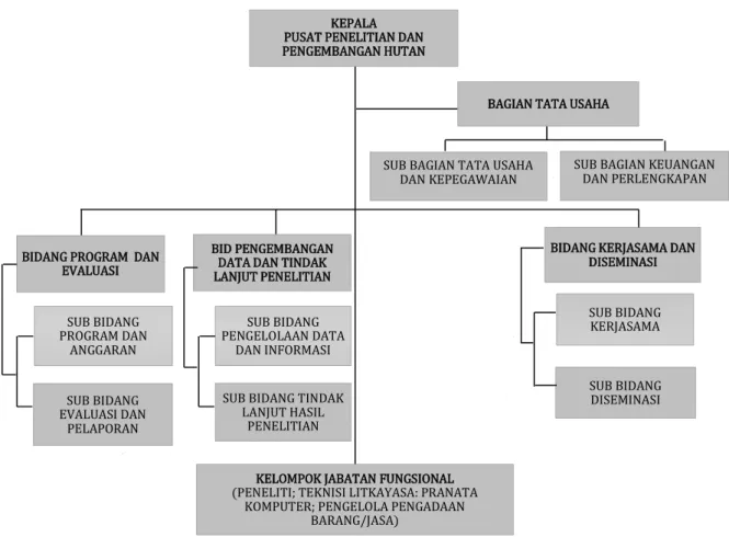 Gambar 5.  Struktur Organisasi Pusat Penelitian dan Pengembangan Hutan 