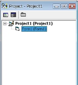 Gambar 2.4 Tampilan Project Window 