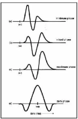 Gambar  16.  Jenis-jenis wavelet berdasarkan  konsentrasi  energinya,  yaitu minimum  phase  wavelet (a), mixedphase  wavelet (b),  maximum phase wavelet (c), dan zero phase wavelet (d) (Rahmanda, 2016).