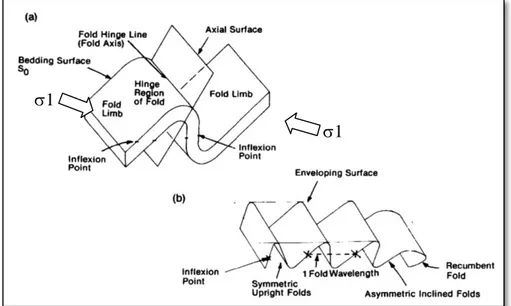 Gambar 1.2 Anatomi lipatan (Mc Clay, 1987) 