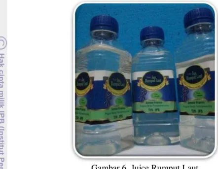 Gambar 6. Juice Rumput Laut 