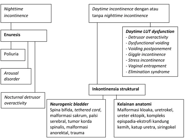 Gambar 1. Klasifikasi inkontinensia urin pada anak. 4   