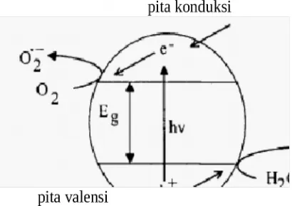 Gambar 2. Ilustrasi suatu proses fotokonduksi padapermukaan fotokatalis semikonduktormenghasilkan radikal hidroksil[4].