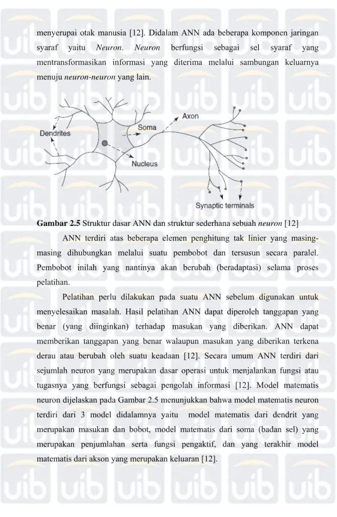 Gambar 2.5 Struktur dasar ANN dan struktur sederhana sebuah neuron [12] 
