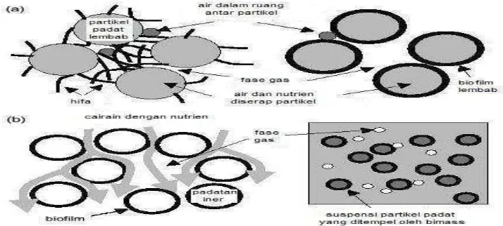 Gambar 5.  Proses fermentasi fase padat (a) perubahan partikel padat yang lembab dan fase gas dalam sistem Fermentasi Fase Padat melibatkan hifa dan organisme uniseluler, (b) Sistem lain yang melibatkan pertumbuhan pada zat padat, tetapi tidak didefinisika