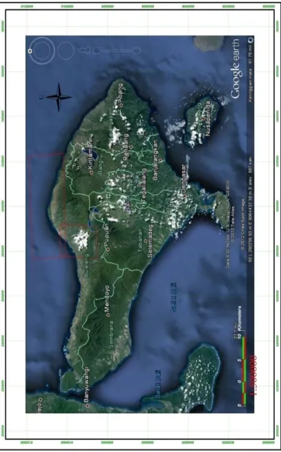 Gambar 1. Citra Ikonos Pulau  Bali