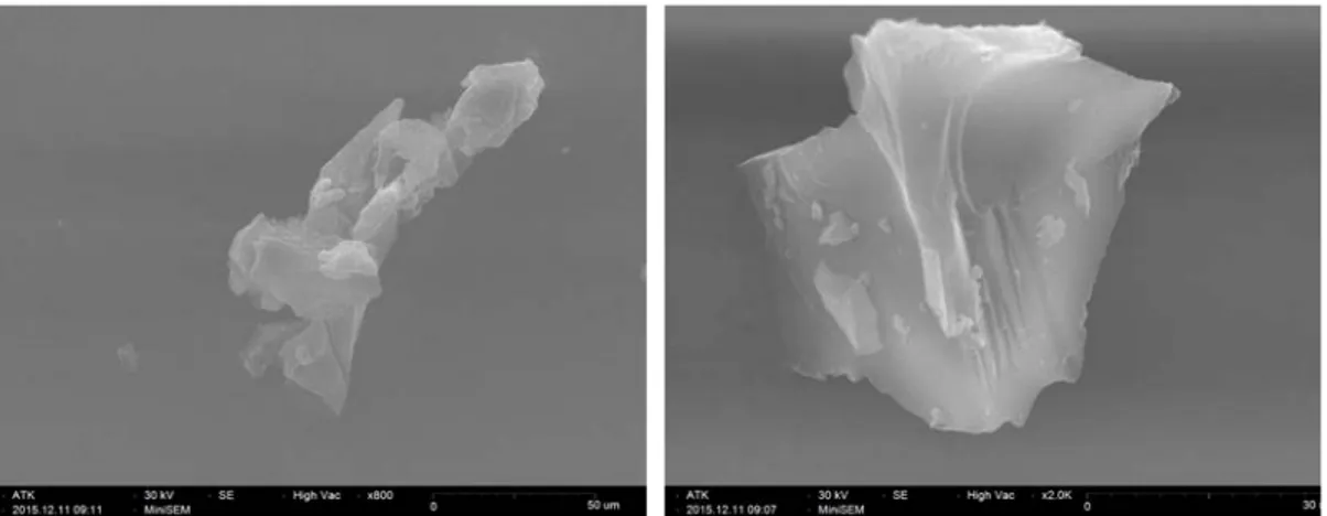 Gambar di bawah ini menunjukan microphotograph dari SEM dengan perbesaran  800x dan 2000x