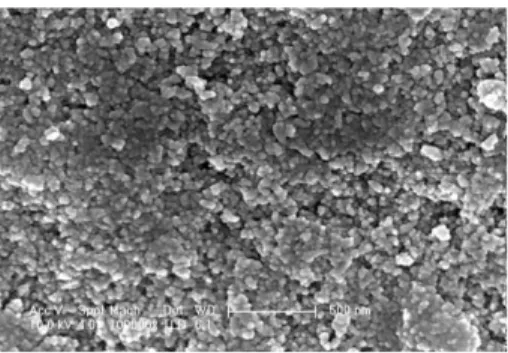 Gambar 2.8 Hasil SEM Senyawa TiO 2  hasil sintesis metode  hidrotermal (Vijayalakshmi,2012) 