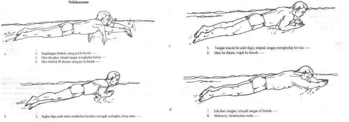 Gambar 2. kayuhan gerakan tangan dari David Thomas (2002) 
