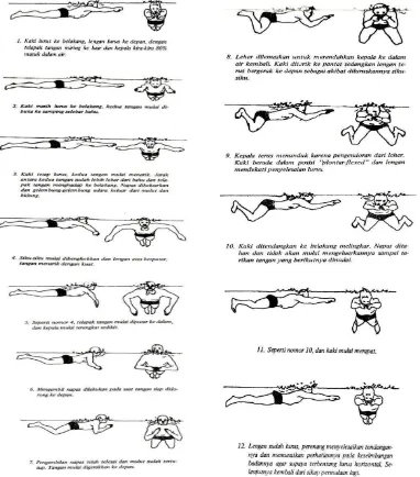 Gambar 3. Rangkaian koordinasi gerakan renang gaya dada dari Dept, P & K RI (1978-1979) 