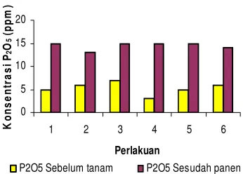 Gambar 7 Perubahan konsentrasi P2O5 tanah             sebelum tanam dan sesudah panen 