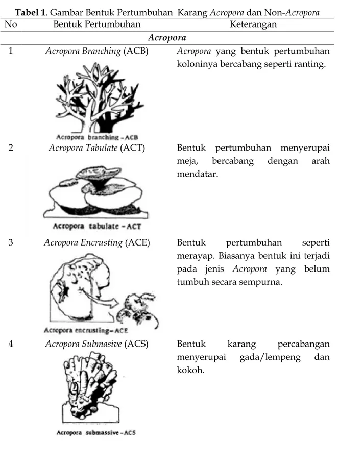 Tabel 1. Gambar Bentuk Pertumbuhan  Karang Acropora dan Non-Acropora 