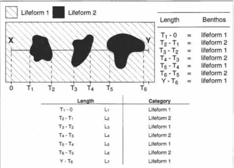 Gambar 3. Metode LIT ( Line Intercept Transect)   (Sumber: English, et al., 1997) 