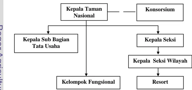 Gambar  5.  Struktur  organisai  balai  Taman  Nasional  Gunung  Gede  Pangrango  (TNGP) 