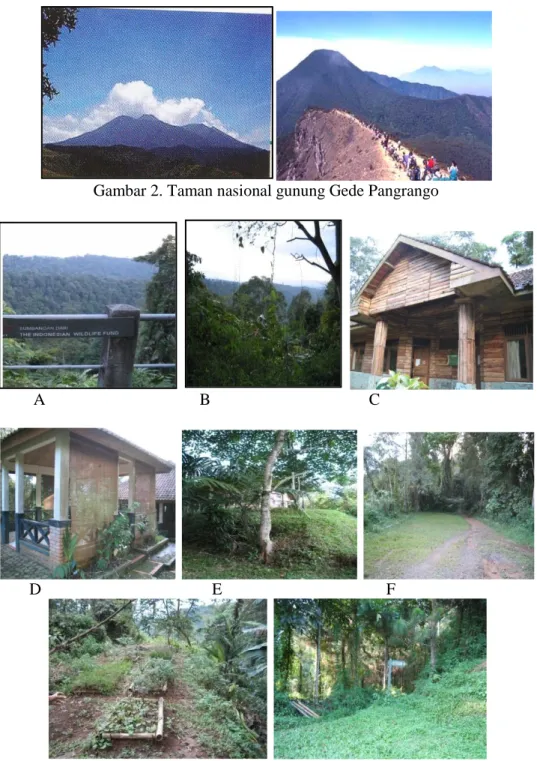 Gambar 2. Taman nasional gunung Gede Pangrango 