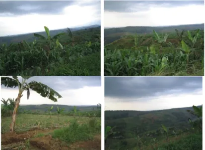 Gambar 6. Perambahan kawasan hutan di sekitar kawasan Taman Nasional Gede Pangrango. 