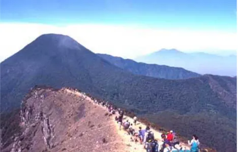 Gambar 2. Aman nasional Gunung Gede Pangrango 