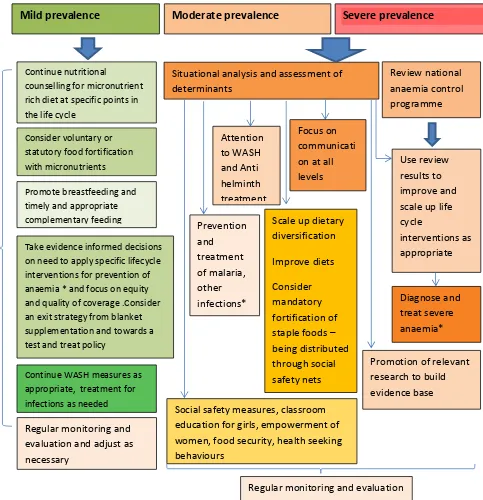 Figure 2.2 Framework for prevention of  anaemia 