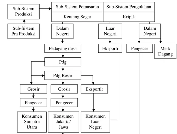 Gambar 3.  Skema Saluran Tataniaga Kentang di Sumatera Utara    Sumber: Sihombing, 2005