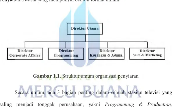 Gambar 1.1.  Struktur umum organisasi penyiaran 