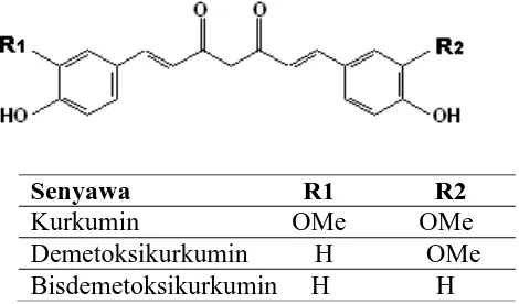 Gambar 1. Stuktur kimia kurkuminoid (Pothitirat and Gritsanapan, 2005)  
