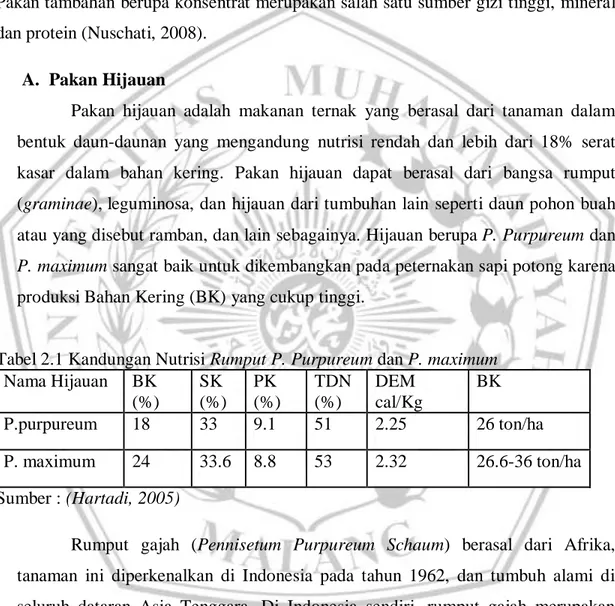 Tabel 2.1 Kandungan Nutrisi Rumput P. Purpureum dan P. maximum  Nama Hijauan  BK  (%)  SK  (%)  PK  (%)  TDN (%)  DEM  cal/Kg  BK  P.purpureum  18  33  9.1  51  2.25  26 ton/ha  P