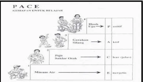 Gambar 2.17 PACE (Positive-Aktif-Clear-Energetis) 