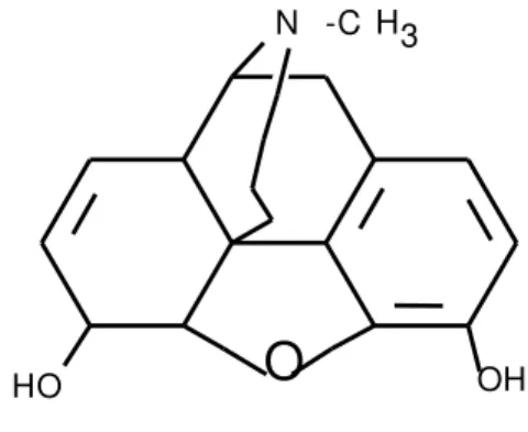 Gambar 1.  Struktur senyawa morfin 