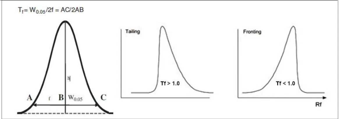 Gambar 2.6 Perhitungan Tailling Factor (T f ) (Ahuja and Dong, 2005). 