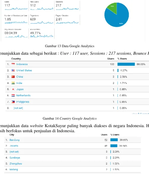 Gambar 13 Data Google Analytics 