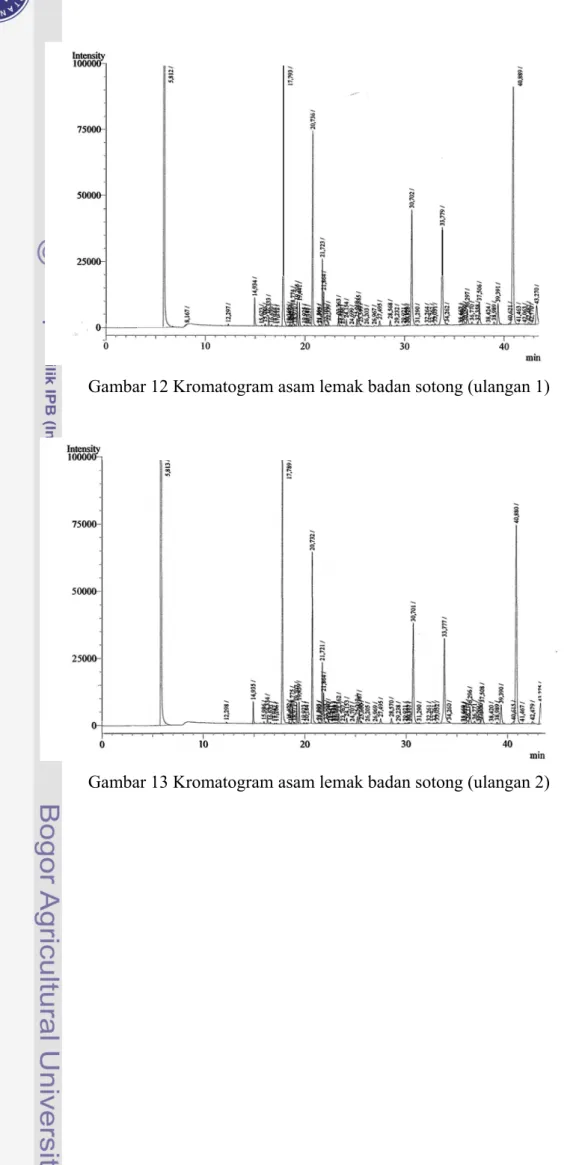 Gambar 12 Kromatogram asam lemak badan sotong (ulangan 1) 