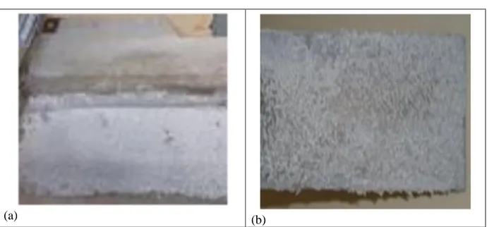 Gambar 5. Perbandingan pembentukan lapisan Al 2 O 3  pada elektrode anode; (a) hasil penelitian (b) hasil referensi  [20].