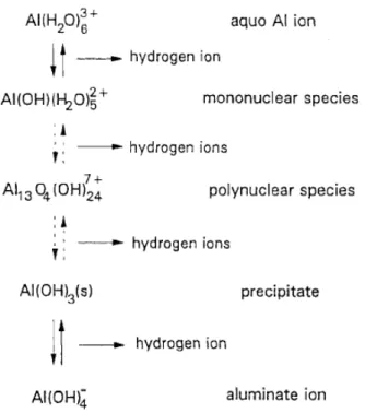Gambar II.8. Reaksi hidrolisa ion aluminium (Letterman, 1999) 