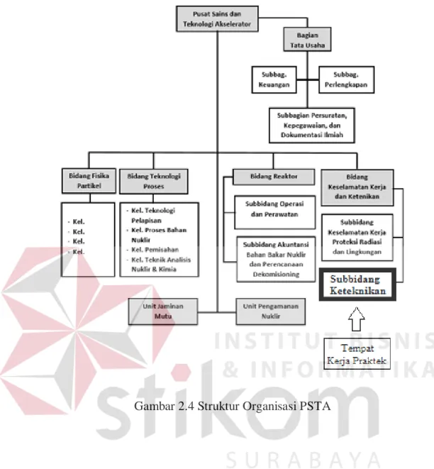 Gambar 2.4 Struktur Organisasi PSTA 