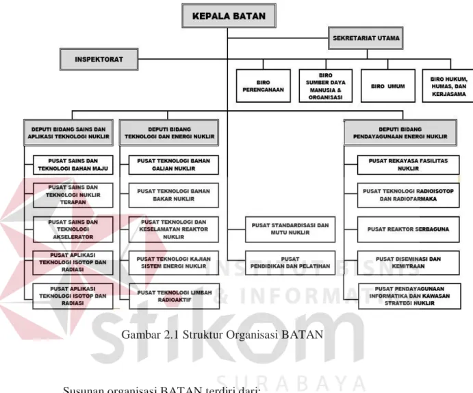 Gambar 2.1 Struktur Organisasi BATAN 