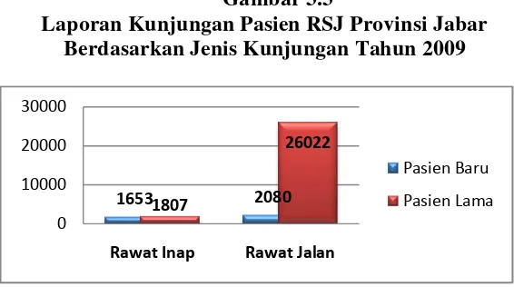Gambar 3.3 Laporan Kunjungan Pasien RSJ Provinsi Jabar 