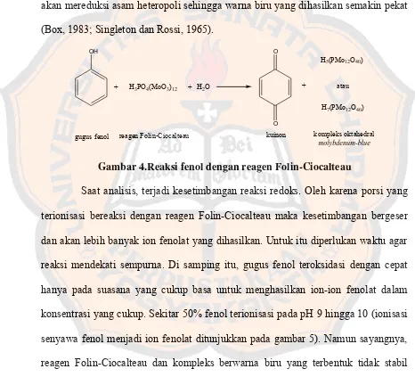 Gambar 4.Reaksi fenol dengan reagen Folin-Ciocalteau 