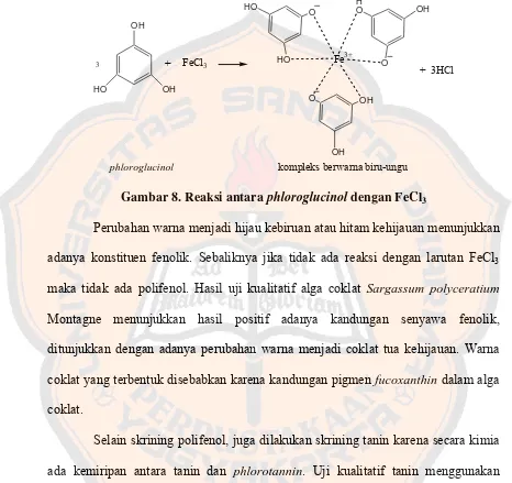 Gambar 8. Reaksi antara phloroglucinol dengan FeCl3  