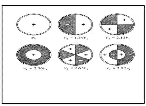 Gambar 4: Variasi Getaran Pertama dari Membrane yang Berbentuk Lingkaran yang