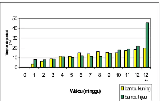 Gambar 1. Tingkat degradasi (%) batang bambu kuning dan batang bambu hijau tiap minggu dan tingkat degradasi total setelah 12 minggu